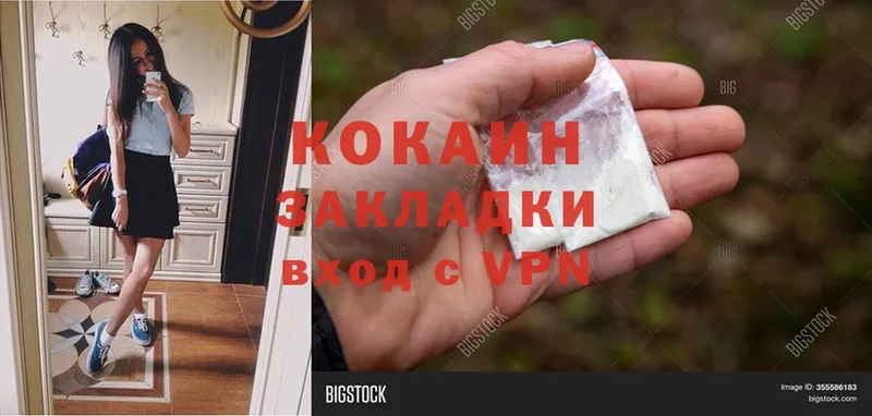 закладка  Киселёвск  COCAIN Fish Scale 